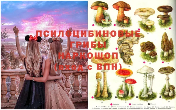 герыч Арсеньев