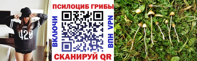 Псилоцибиновые грибы ЛСД  Купить закладки  Уржум 